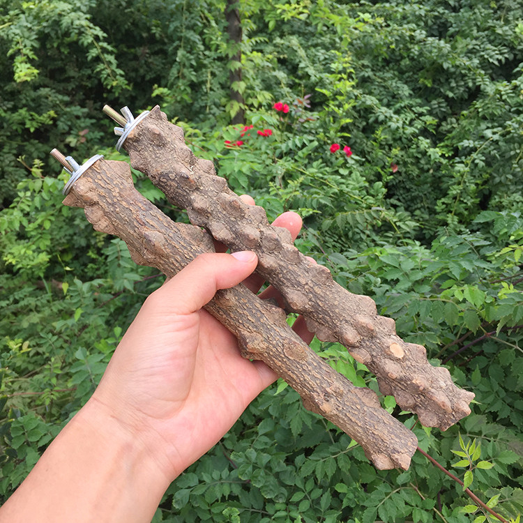 热卖纯天然野生花椒鹩哥八哥画眉鹦鹉鸟站棍站秋千