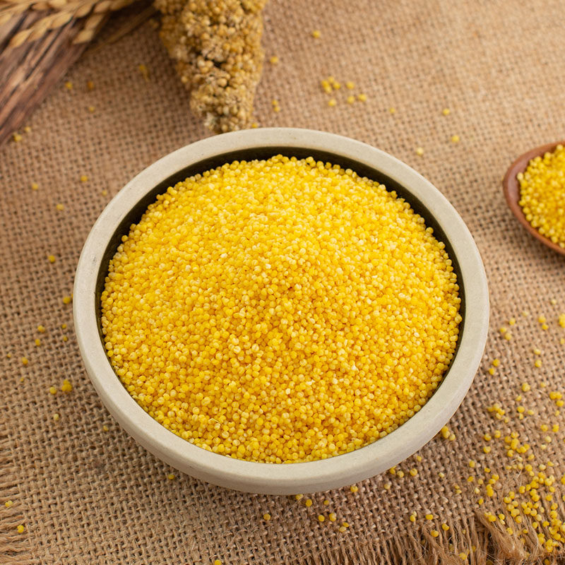 小米朝阳农家当季粗粮食用五谷杂粮特产米粥黄小米小米