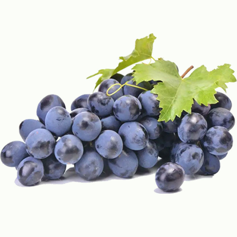 盒马云南夏黑葡萄3斤新鲜现摘