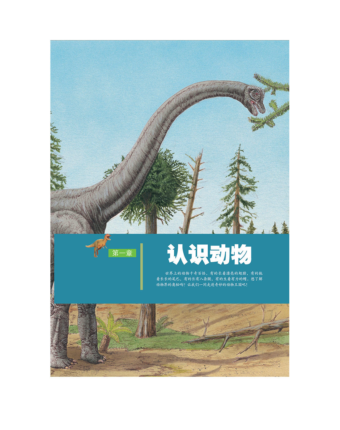 儿童动物大百科全书(精装彩图版) 6-10-14岁儿童动物书籍 动物大世界