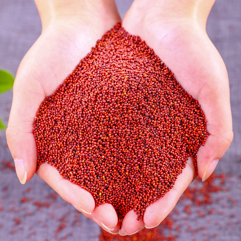 正宗广西粟米3斤当季农家特产五谷杂粮营养圆润大米