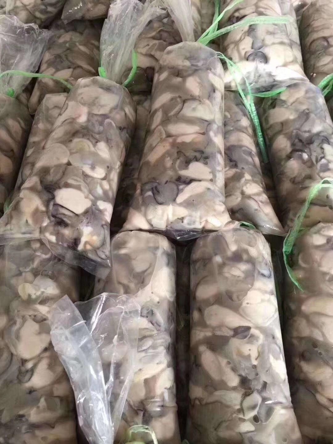 牡蛎生蚝海当天现剥生蚝肉海去壳新鲜蚝肉三斤生蚝