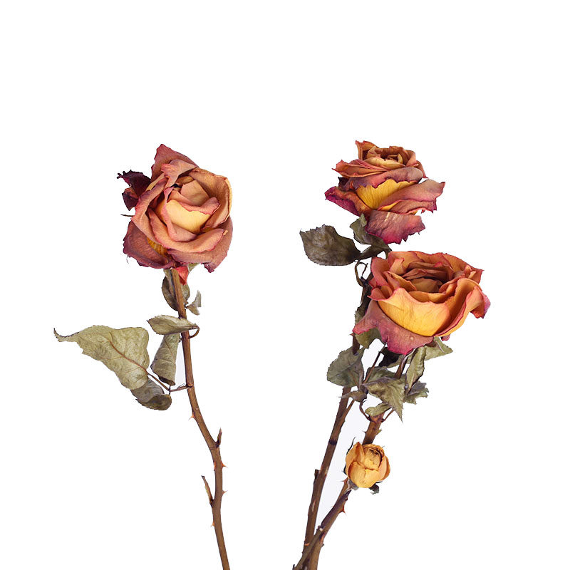 咖啡时间小资精品玫瑰干花花束文艺复古家居干花