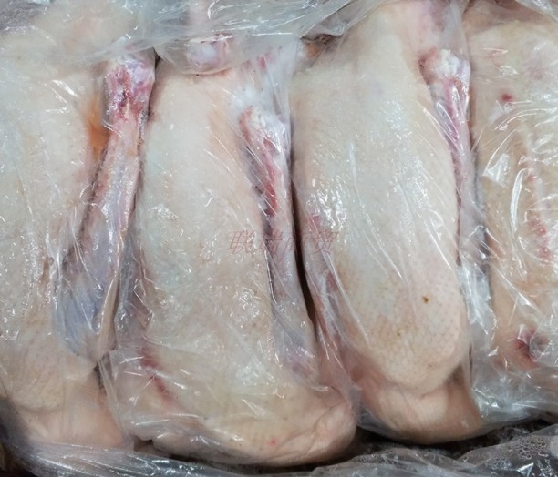 冷冻新鲜仔鹅40斤鹅肉二光5只6只7只白条鹅肉
