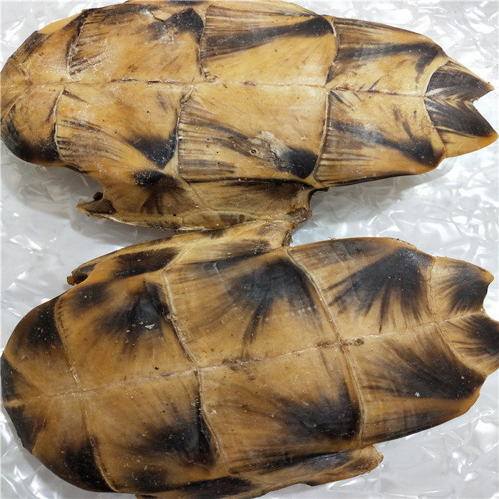 龟板中药材生龟500g克包龟甲另有炙龟生鳖磨粉其他药食同源食品