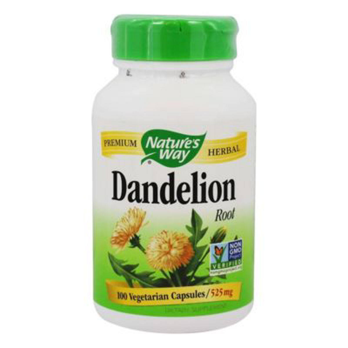 美国natureway蒲公英胶囊清热散结抗菌100粒其它植物提取物