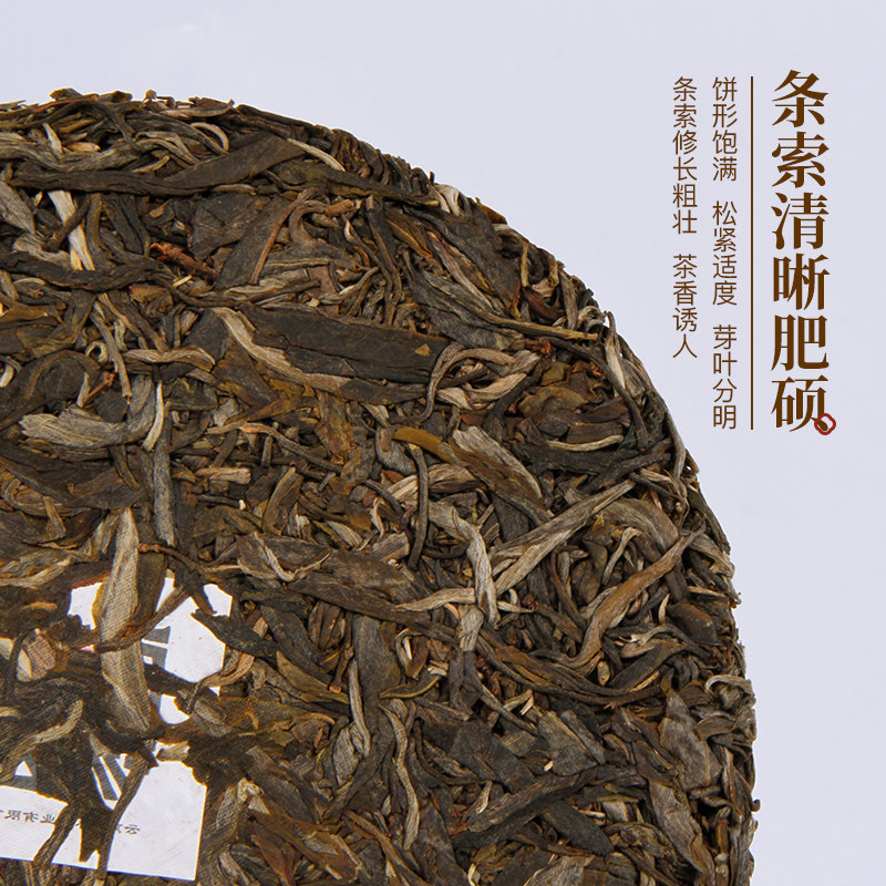 土林凤凰2019年8503高山索玛云南七子饼茶普洱茶普洱