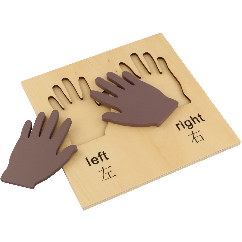 蒙氏语言区玩具左手右手教蒙蒙特蒙台梭利幼儿园早教教具早教教具