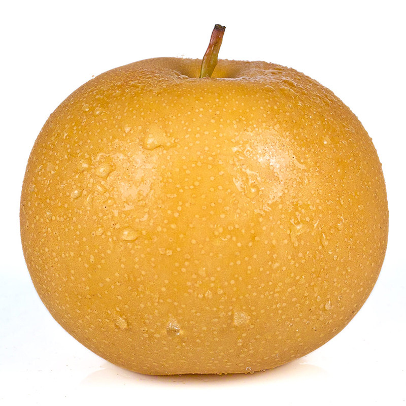脆甜晚秋黄梨10斤新鲜大黄梨子应季水果冰糖梨