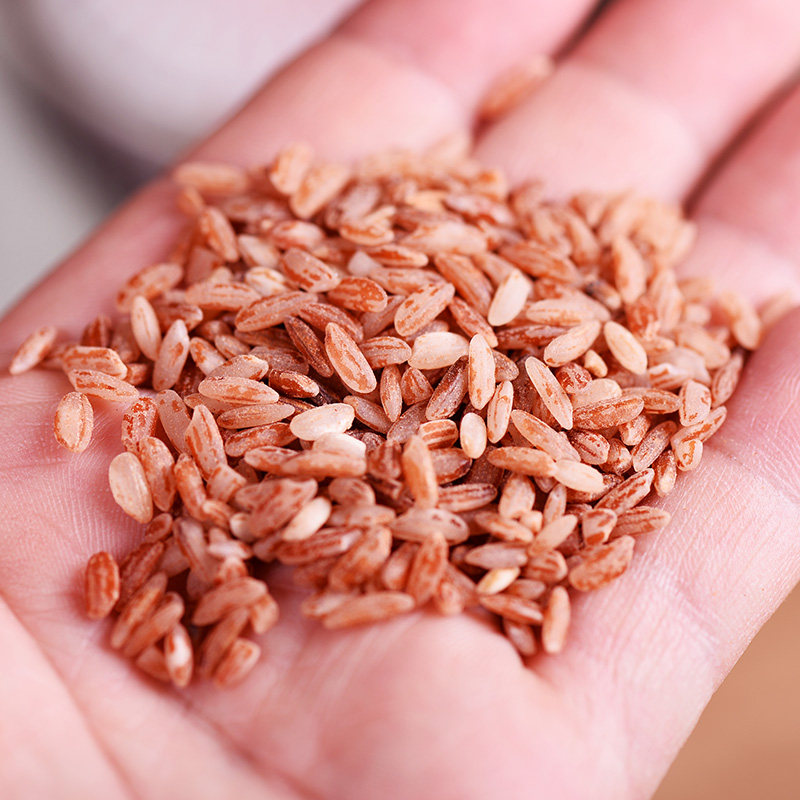 东巴高原梯田红米1斤云南特产糙米红粳红血米糙米