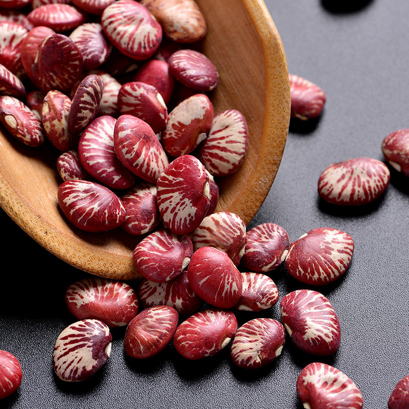 云南农家荷包豆状元豆大肾豆500g豆类杂粮花芸豆花豆非斑马豆包邮