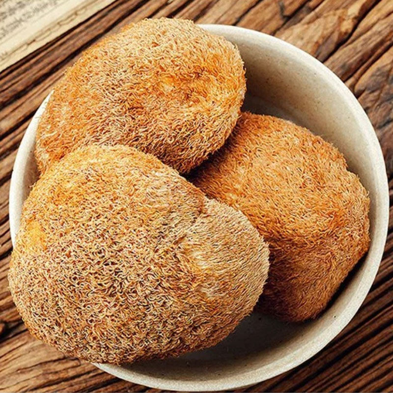 猴头菇干货新东北野生猴菇猴菇头干货特级养胃猴头姑75g罐装包邮