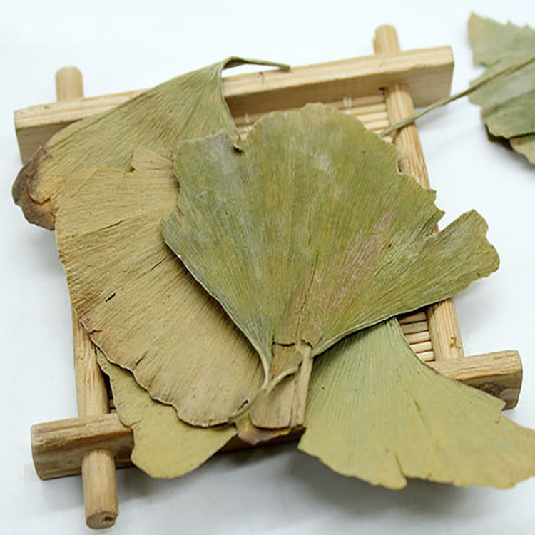 银杏中药材茶叶叶片新货叶茶正品白果叶银杏500g银杏