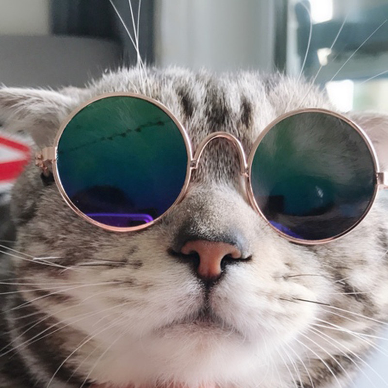 宠物猫眼镜猫咪墨镜复古酷猫搞怪拍照道具猫咪带的个性饰品小狗狗
