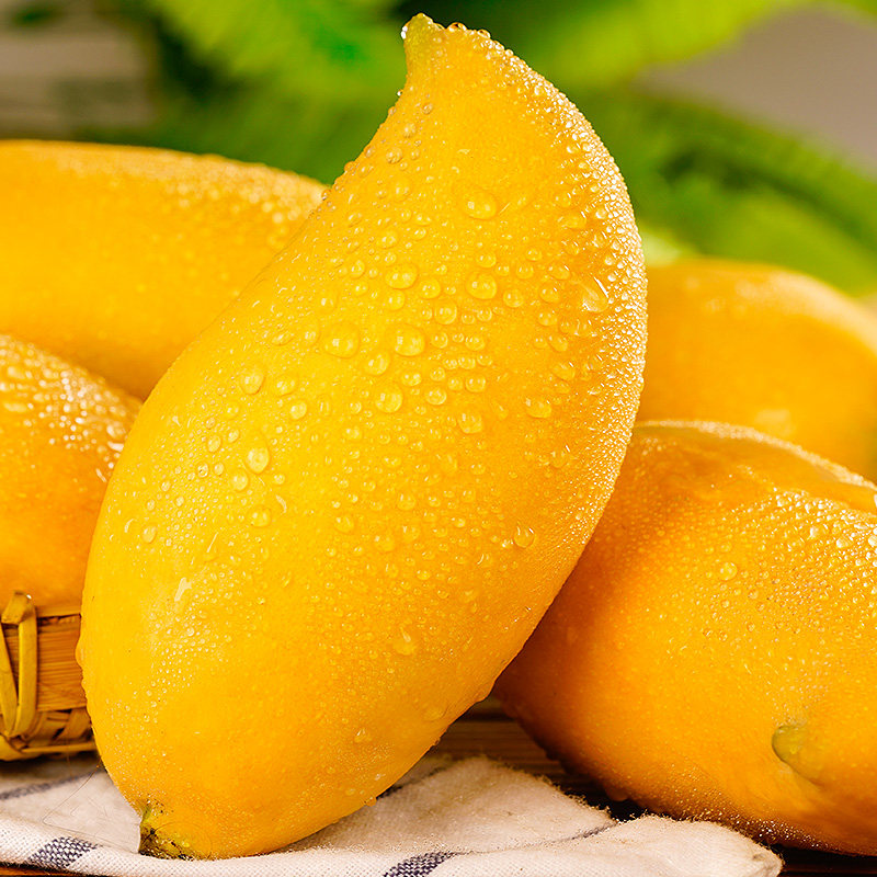 新鲜芒果发包批发整箱甜心青皮鹰嘴现摘云南芒果