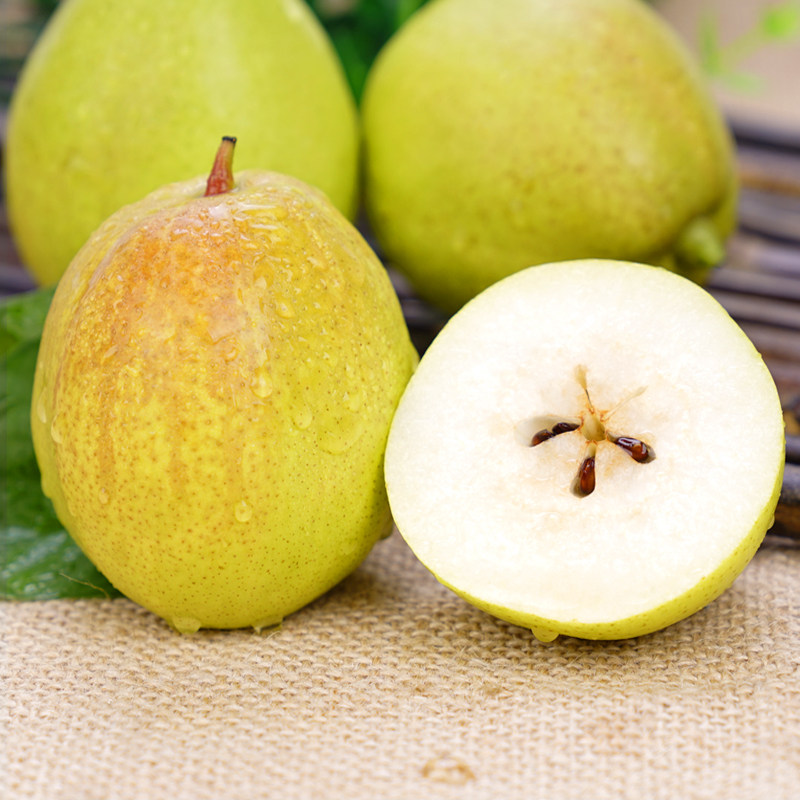 3斤陕西红香酥梨应季新鲜香梨