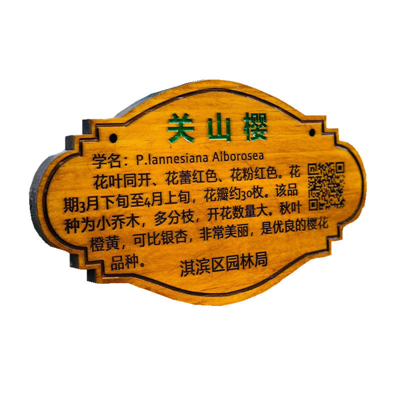 树牌定制实木质花草牌树木牌装饰挂牌植物标识牌悬挂广告牌定做