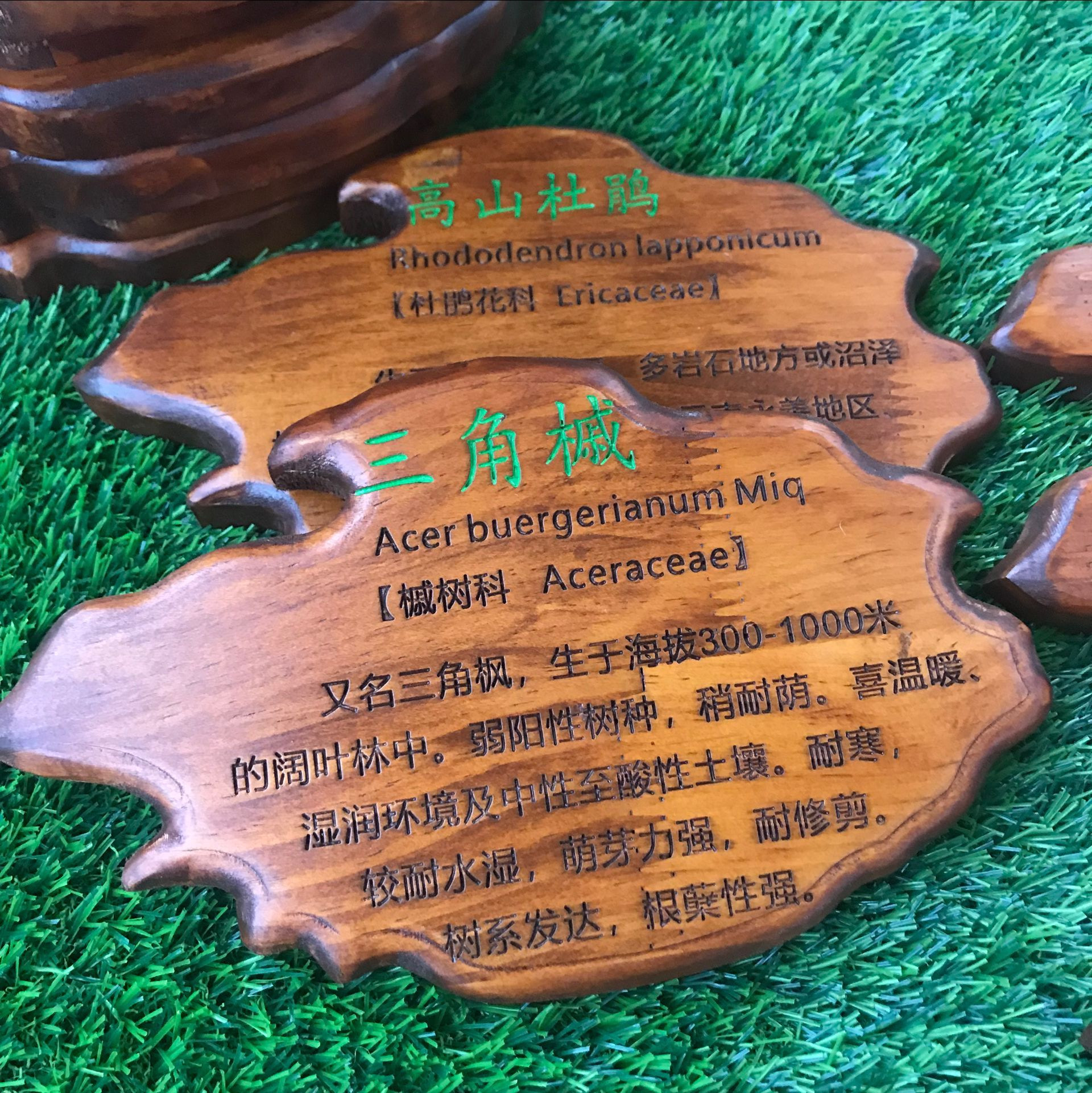 树牌定制实木木质花草牌树木木牌装饰挂牌植物装饰挂牌