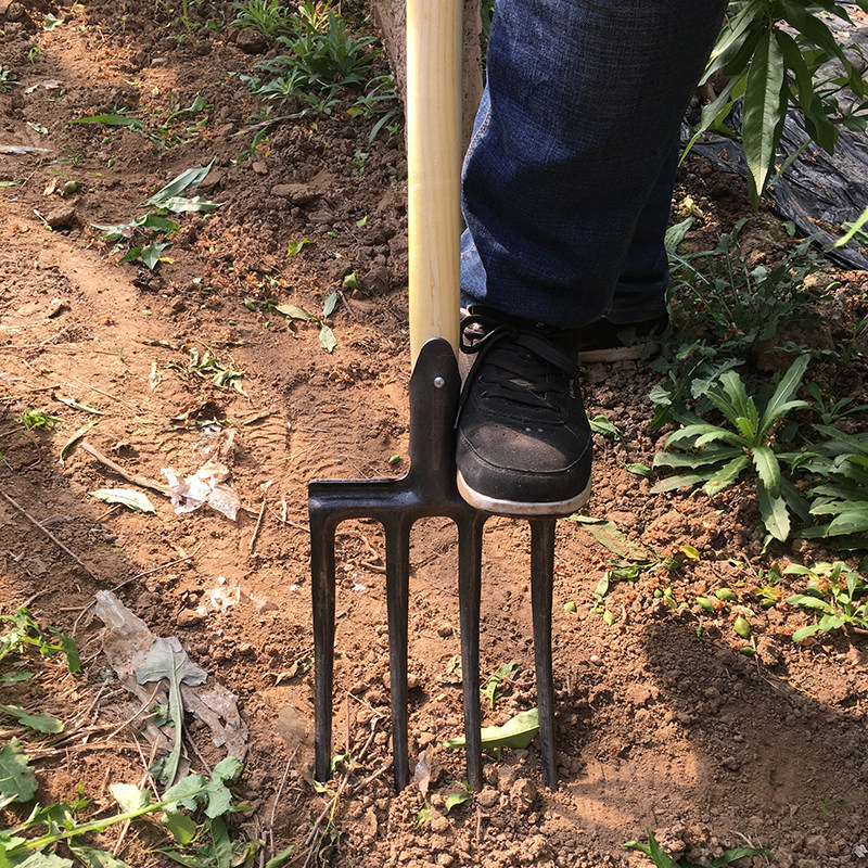 翻地松土神器粪叉人工翻土开荒叉子农用工具叉