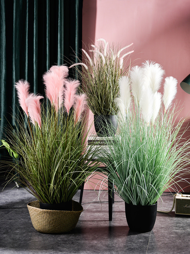 北欧ins仿真蒲苇家居店铺装饰绿植大型落地仿真植物盆景