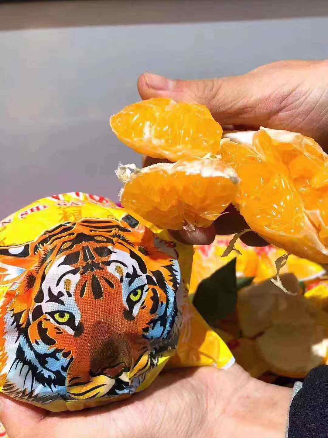 虎头橘子安氏柑媛粑粑不知火甜口丑柑桔子10斤桔子