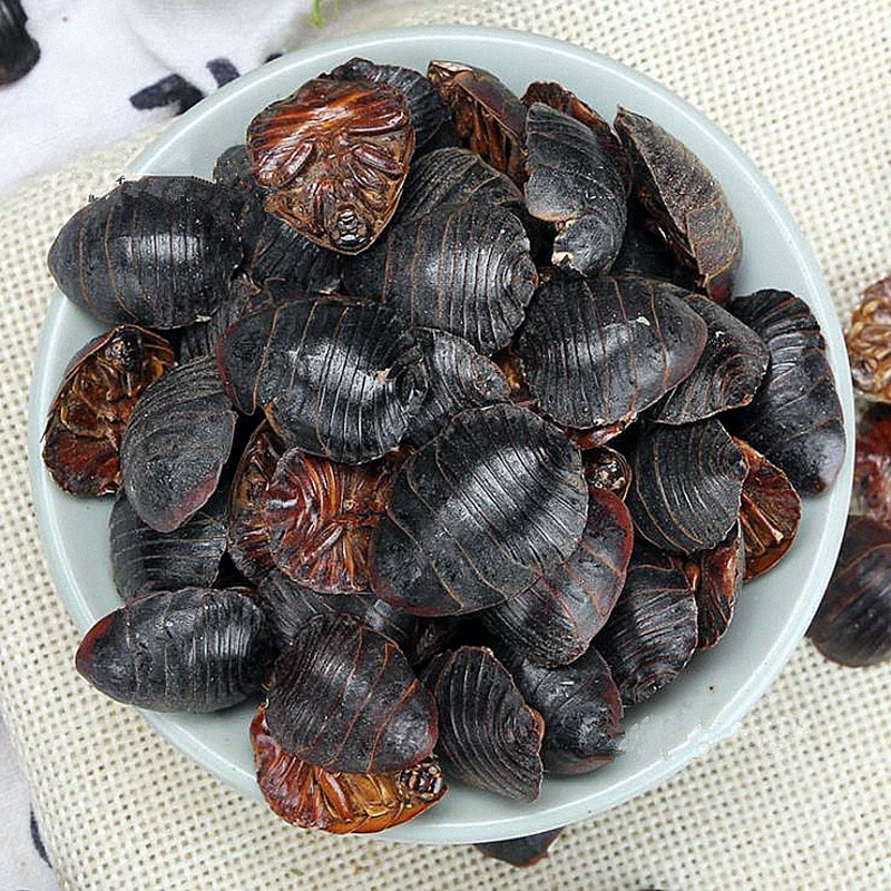 土鳖中药材新货干土元地必乌龟蟅虫250克包其他药食同源食品