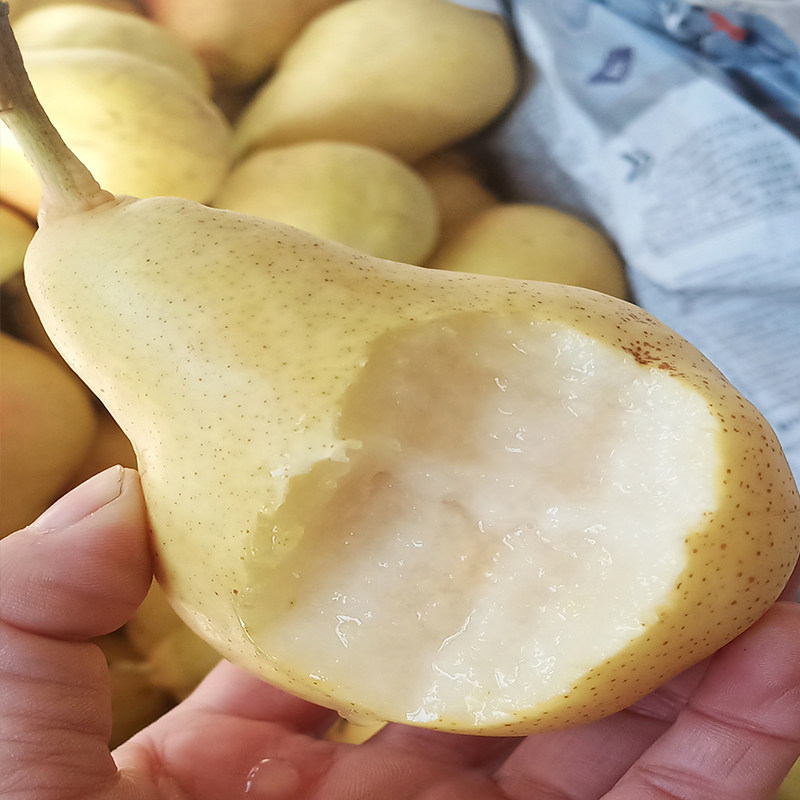 太婆香蕉青啤农产品自产大头梨茄新鲜当季东北梨