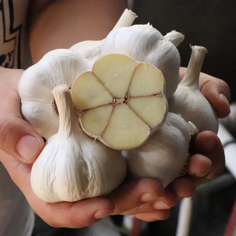 苍山四六瓣大蒜3斤21年农家自种老品种大蒜笨蒜香蒜干大蒜头蒜妃