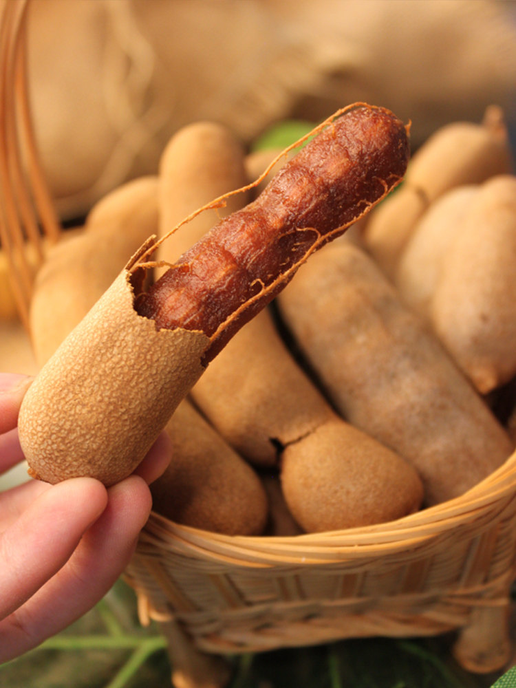 酸角云南特产新鲜野生大甜角孕妇零食甜酸酸甜酸枣糕