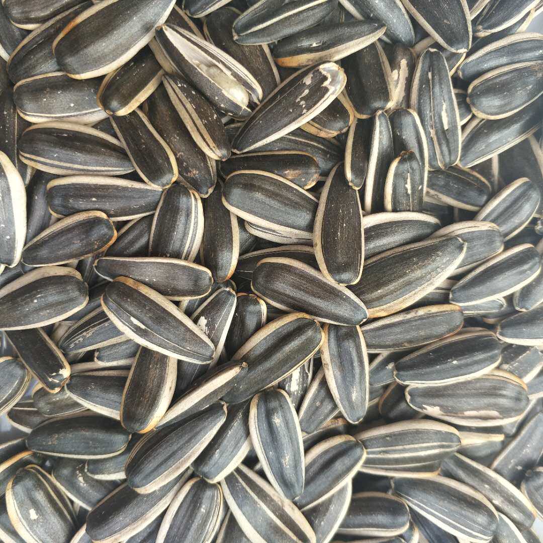 香瓜瓜子五香香味葵花籽新疆特产颗粒饱满香脆瓜子