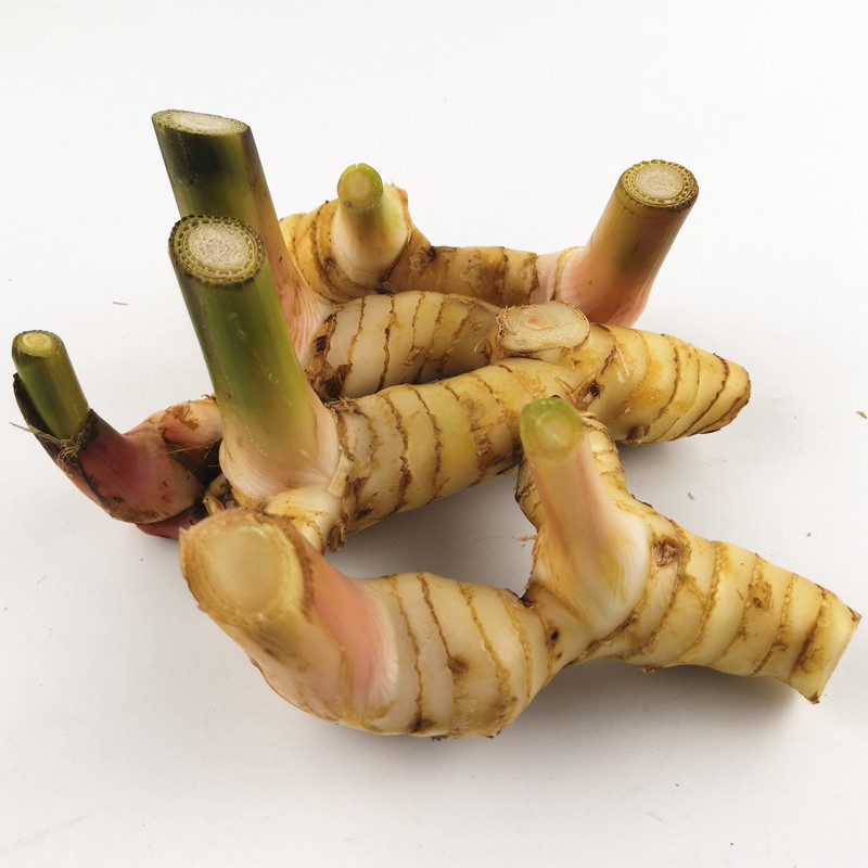 泰国进口新鲜南姜白皮南姜500g冬阴功调料香料鲜良姜芦苇姜白山姜