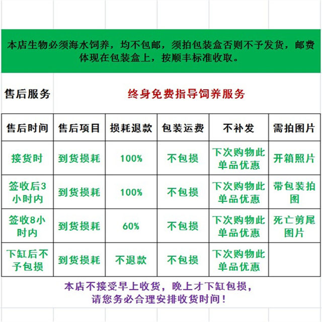 Purple Purple Tahitian fish radar radar Firebird blue discoloration of Yuanyang jet tube gobies live marine fish Purple Purple Tahitian fish radar radar Firebird blue discoloration of Yuanyang jet tube gobies live marine fish