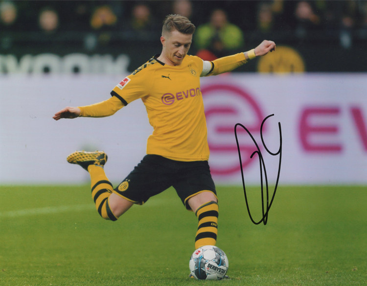 收藏签名小火队长证书sa裱框照片亲笔罗伊斯文化