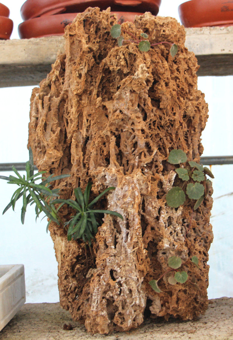 吸水景石上水石风石假山假山盆景客厅造景石吸水其它园艺用品