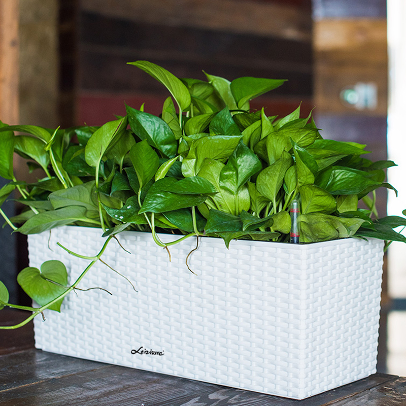 种植庭院藤编风格花盆简约长方形懒人储水盆栽花盆