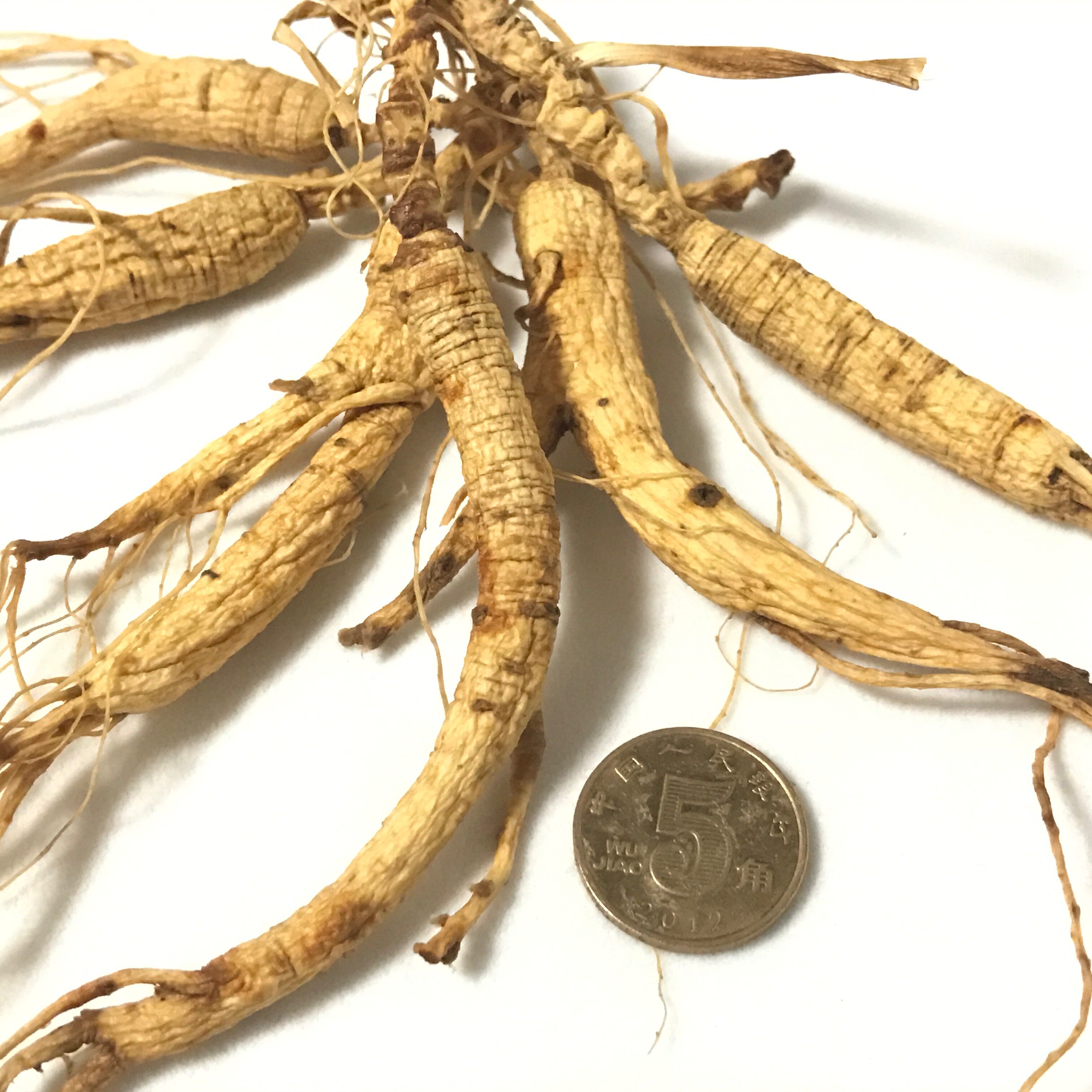 豪尚尚品煲汤专用13年微残小支人参山肢体完整山参