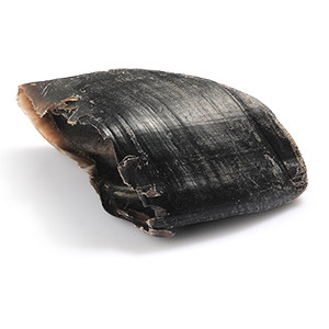 zeal真致牛蹄壳新西兰进口宠物狗狗零食耐咬洁齿磨牙骨小牛蹄125g