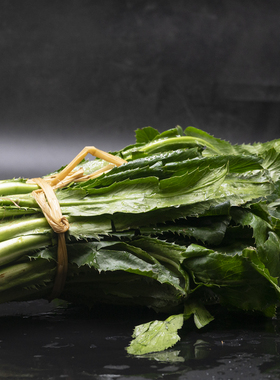 【带根发货】新鲜大芫荽大现挖香菜