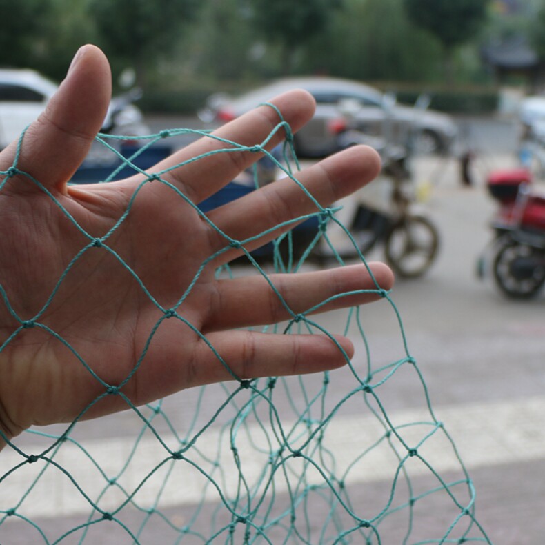 家禽养殖网养山鸡养鸡围网尼龙龙网防鸟网护其它园艺用品