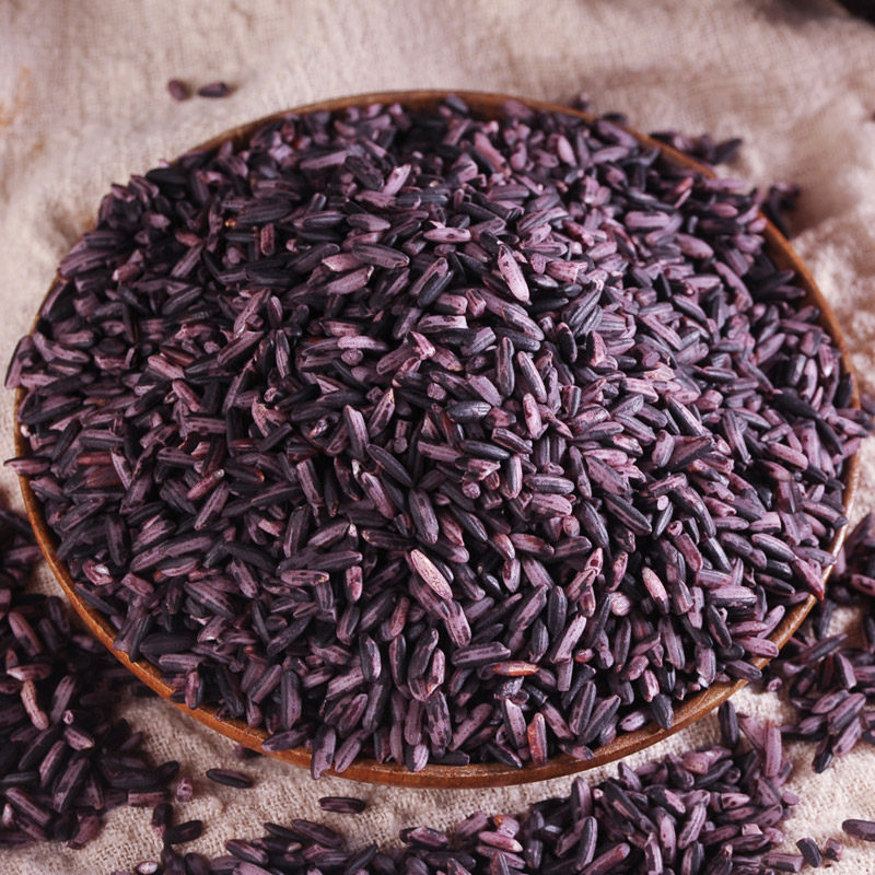 糯米1斤紫米米墨江新米云南特产五谷杂粮粗粮糯米