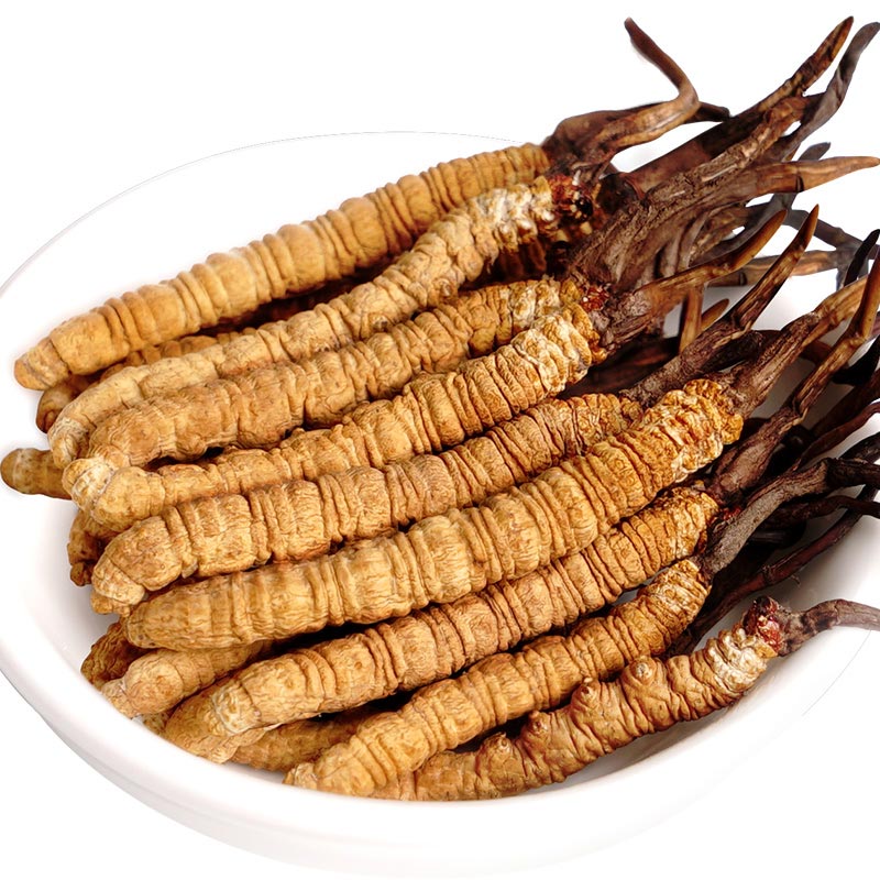 源堂青海野生冬虫夏草3条优选10克礼盒冬虫夏草