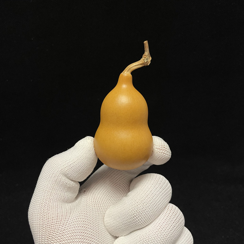 葫芦天然文玩精品小胖墩粗腰圆一物一图手把摆件盘玩葫芦