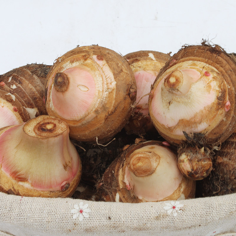 芋头正宗奉化芋艿5斤溪口宁波新鲜农家小芋头芋头