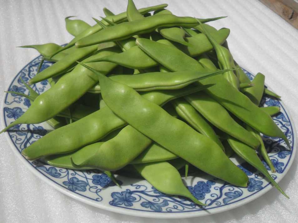 豆角黄豆角东北小油黄金弯勾勾勾过季缺货新鲜豆类
