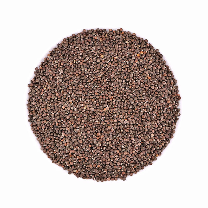 紫苏新货500g克现炒熟东北油苏烧烤调料月饼紫苏