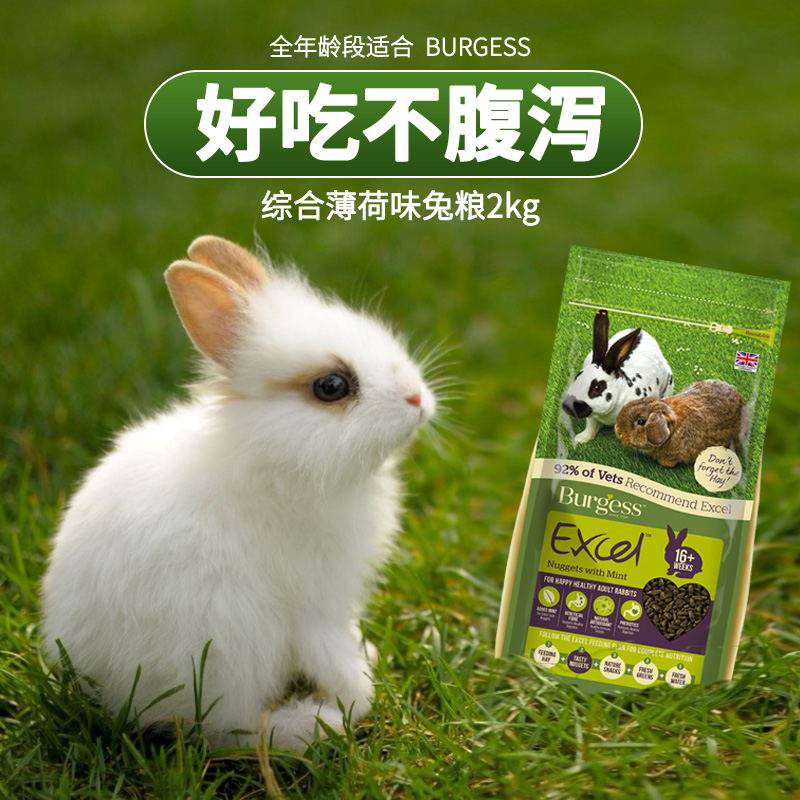 2020年现货包邮英国burgess布格斯兔粮宠物兔成兔薄荷饲料主粮2kg