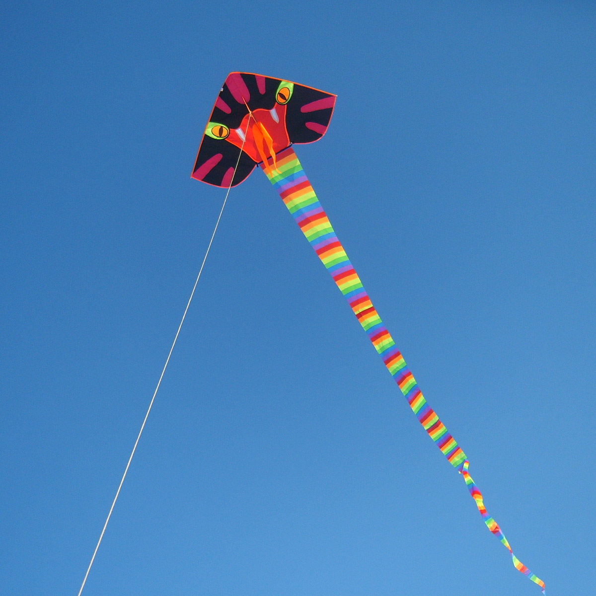 风筝春鸢8米13米30米40米大蛇王蛇d47包邮风筝