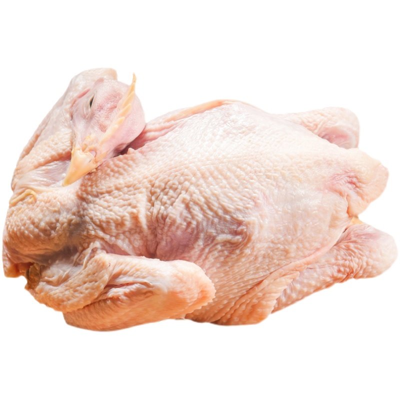 土鸡农家散养走地未生生蛋母鸡新鲜鸡肉现杀整鸡