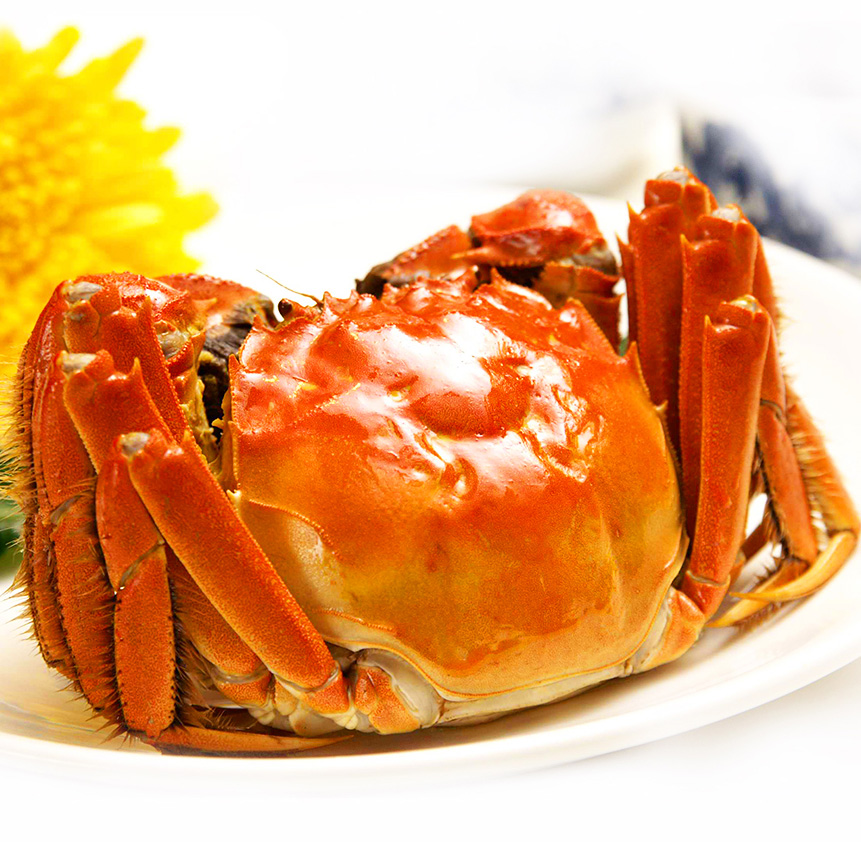 现货特大母蟹大闸蟹鲜活全母螃蟹50两8只阳澄湖镇礼盒装