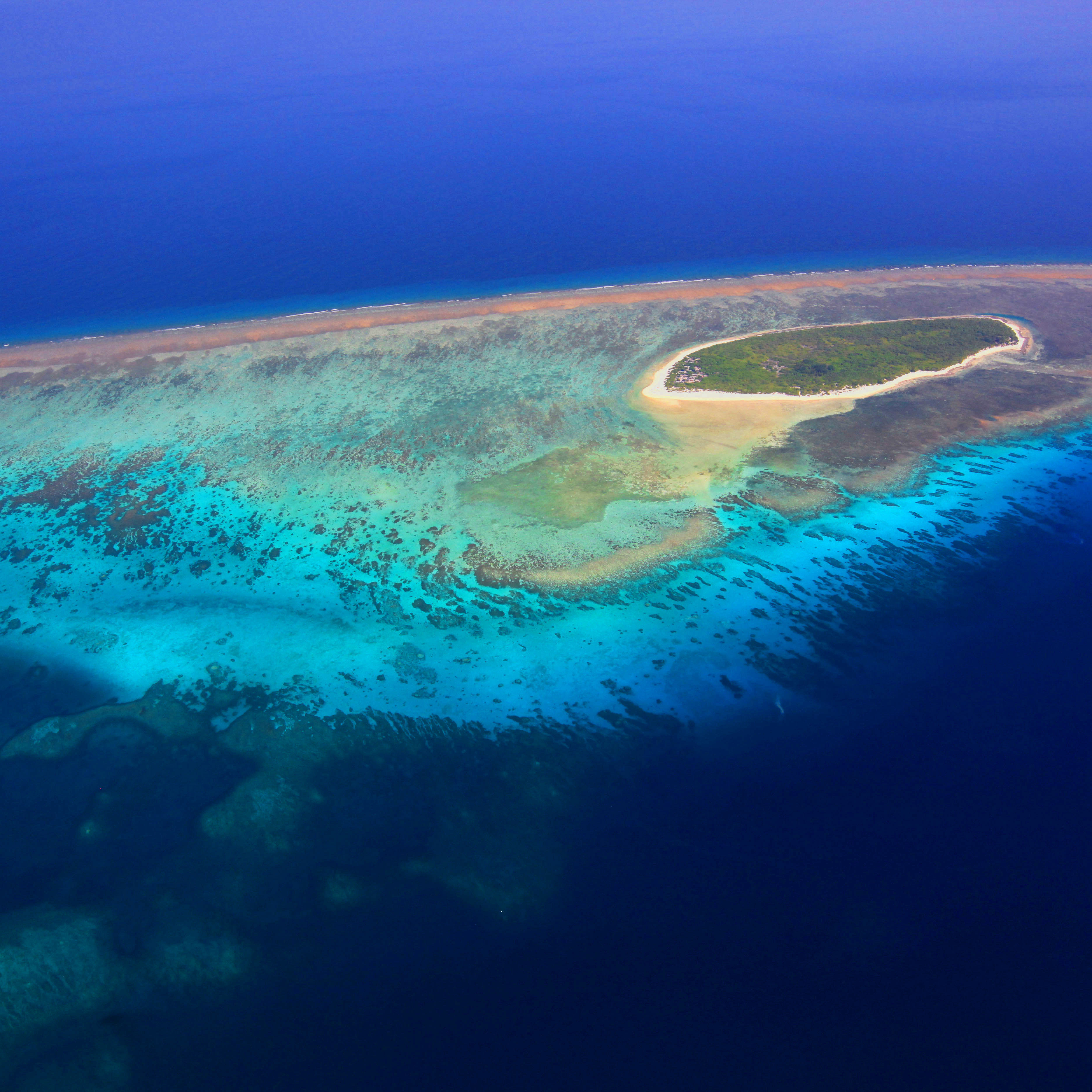 三亚南海海之梦邮轮海南西沙群岛4天自由行出发境内邮轮